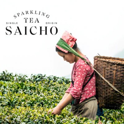Origins and Myths of Tea